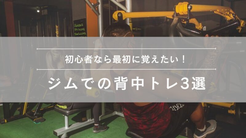 おすすめ背中トレ３選